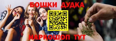 шишки Кандалакша