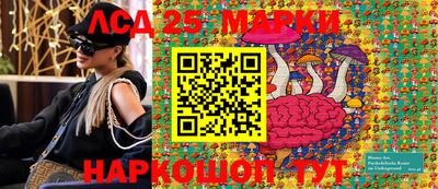 шишки Кандалакша