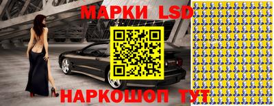 шишки Кандалакша