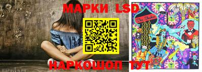 шишки Кандалакша