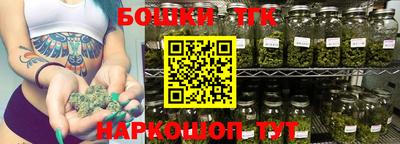 шишки Кандалакша