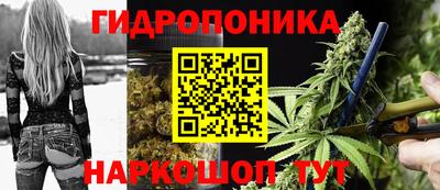трава Камышлов