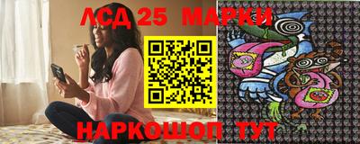 шишки Кандалакша