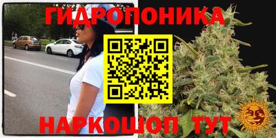 спиды Канаш