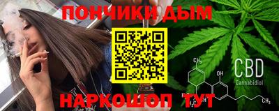 шишки Кандалакша