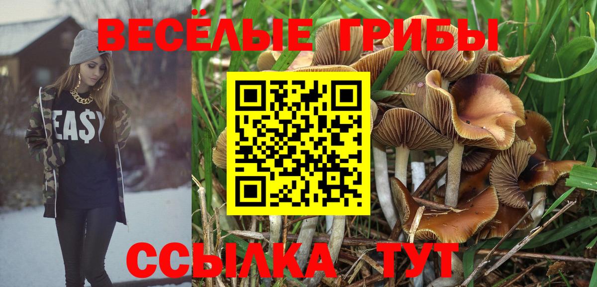 Галлюциногенные грибы Psilocybine cubensis  Вход с VPN  Заволжье 